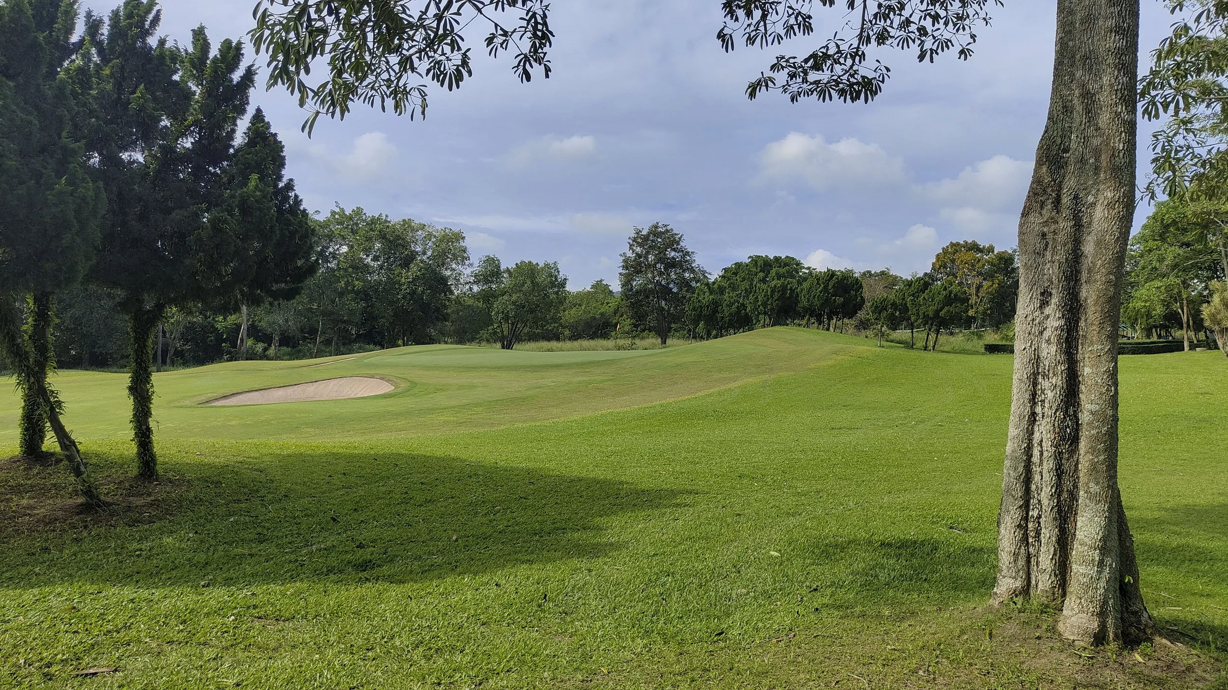 GREENWOOD GOLF&COUNTRY CLUB / SARNIA 千鳥柄 グリーンウッド ゴルフ